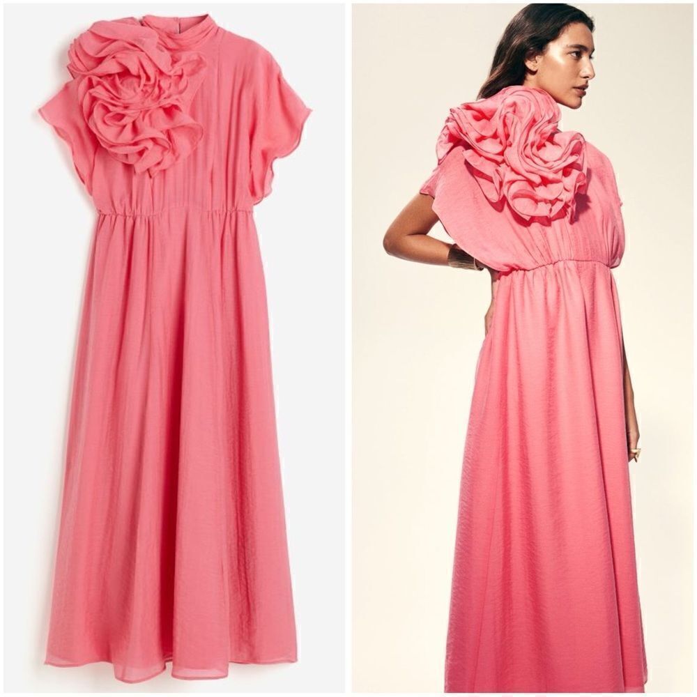 H&M Ramadan Exclusive Collection Appliquéd Maxi Dress
Pink New - Picture 3 of 8